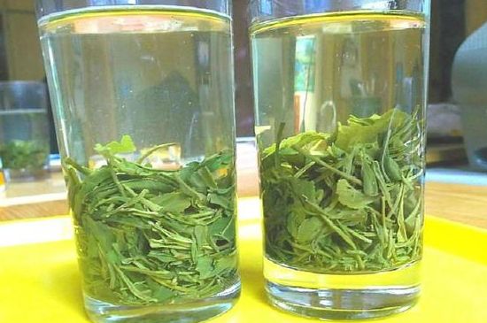 茶葉為什么不能亂送人，買茶葉一次送一盒還是兩盒