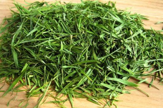 哪類人不適合喝石竹茶，石竹茶的功效與禁忌