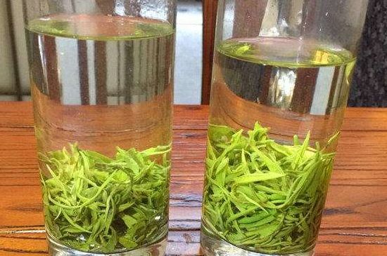 黃金茶的功效及禁忌癥，黃金茶有什么副作用嗎？