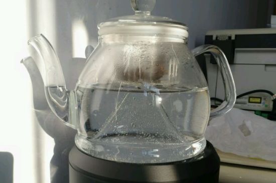蒸茶和煮茶的區(qū)別，蒸茶和煮茶哪個(gè)好