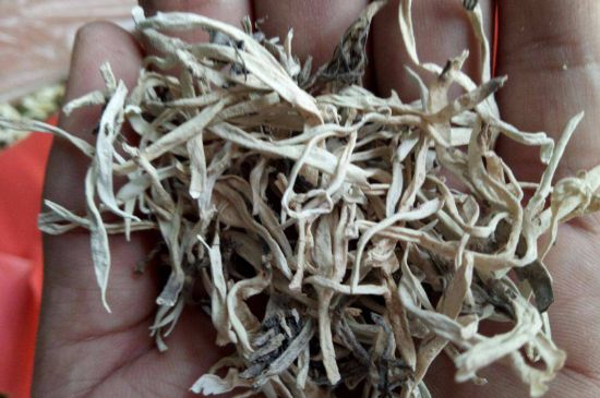 麗江雪茶的禁忌，白雪茶的副作用