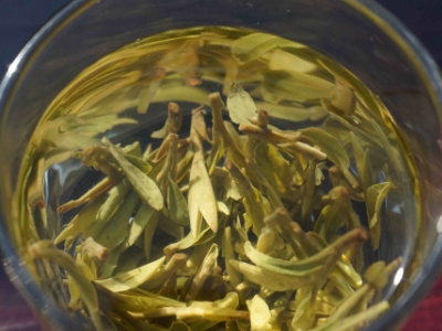 安吉白茶的功效與作用，簡單概括安吉白茶功效