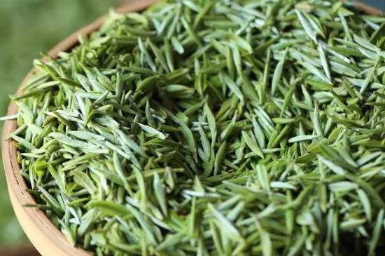 雀舌茶的沖泡方法，怎么沖泡雀舌茶？