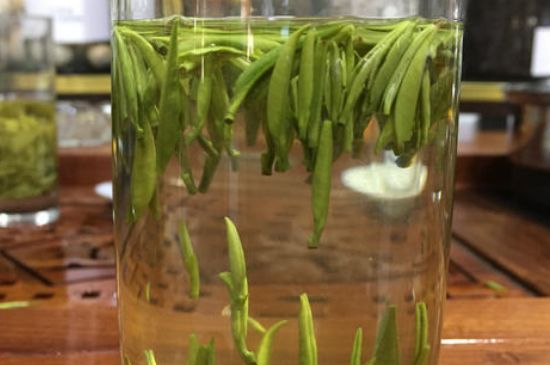 雀舌茶的副作用，雀舌茶什么人不能喝？