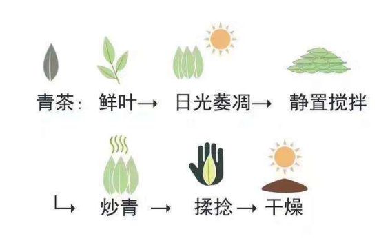 茶葉名稱大全和圖片，茶葉名字大全三四個字！