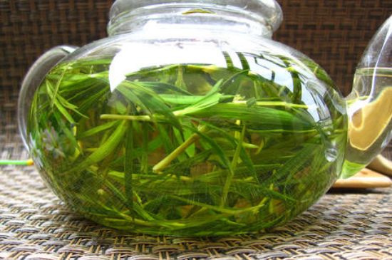 竹葉茶的禁忌，竹葉泡茶的功效禁忌