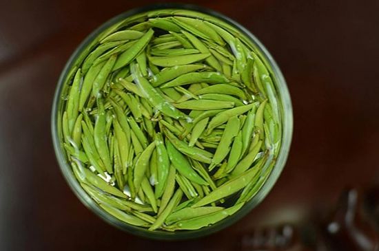 雀舌茶什么人不能喝，雀舌茶的功效與禁忌