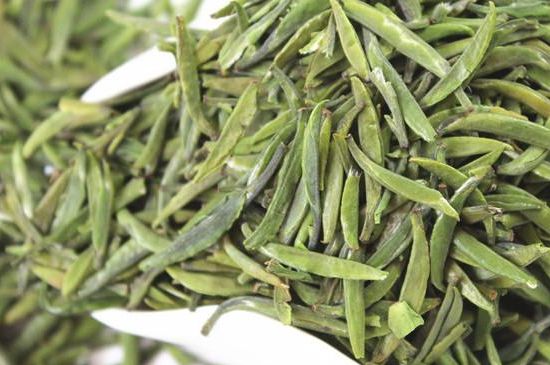 雀舌茶什么人不能喝，雀舌茶的功效與禁忌
