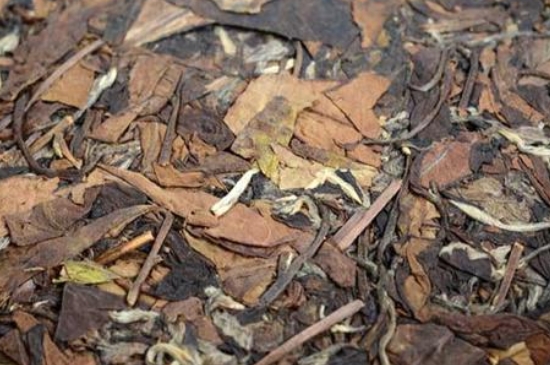 福鼎白茶能長時間悶泡嗎，老白茶可以悶著喝嗎？