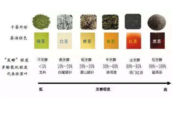 茶葉名稱大全和圖片，茶葉名字大全三四個字！