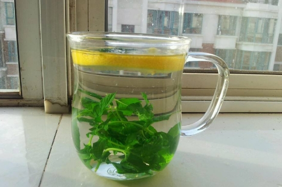 薄荷茶的功效與作用，喝薄荷茶有什么好處？