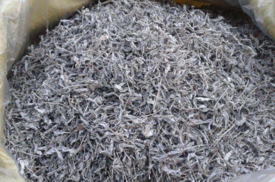 怎樣辨別莓茶發(fā)霉了，莓茶發(fā)霉和白霜的區(qū)別