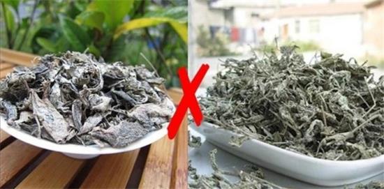 張家界茅巖莓茶與藤茶是同一種茶嗎，藤茶跟莓茶一不一樣？