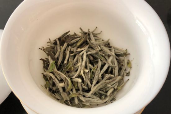 春茶上市白茶的好壞怎么區(qū)分，春白茶怎么分辨好不好？