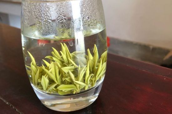 安吉白茶耐寒嗎，白茶適合放冰箱嗎