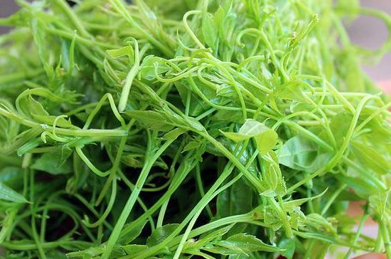 茅巖莓茶別名是什么，莓茶別名叫藤茶嗎？