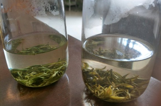 真假碧螺春泡水后區(qū)別，蘇州洞庭碧螺春怎樣鑒別好壞？