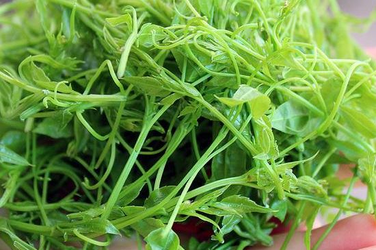 茅巖莓茶保質(zhì)期有多久，張家界莓茶存放時(shí)間長(zhǎng)了還能喝嗎？