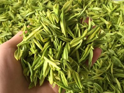 白茶品質(zhì)如何區(qū)分，白茶的優(yōu)劣質(zhì)量辨別方法