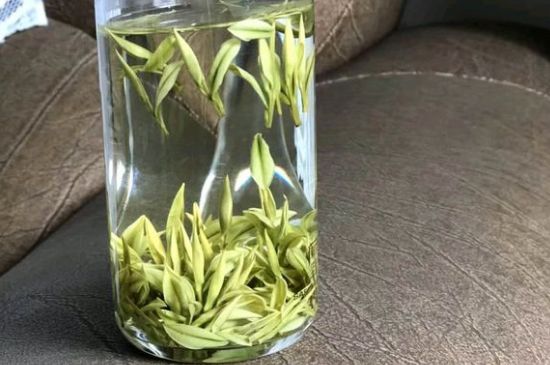 安吉白茶夏天怎么保存，安吉白茶能冷凍儲存嗎？