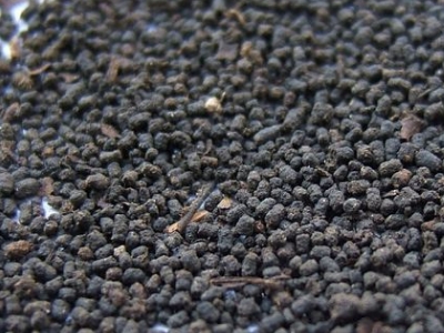 圓形顆粒狀茶是什么茶，像飼料一樣一粒粒的是什么茶？