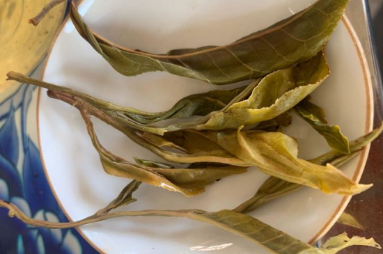 普洱茶十大學(xué)費(fèi)茶排名，吉普H是學(xué)費(fèi)茶？