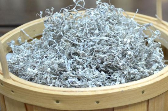 張家界莓茶真假對比，野生莓茶的鑒別方法