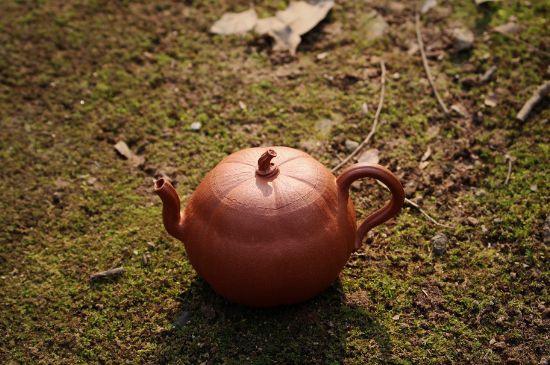 紫砂壺泡什么茶最佳，紫砂壺一般泡什么茶？