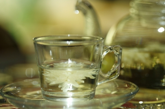 菊花茶天天喝行嗎，每天喝菊花泡茶喝好嗎？