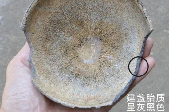 假建盞的特點，真假建盞區(qū)分帶圖