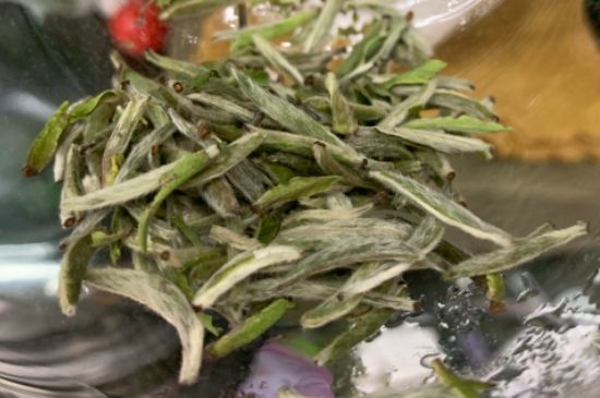 蒸汽煮茶器適合什么茶，蒸汽煮茶器適合用綠茶嗎？