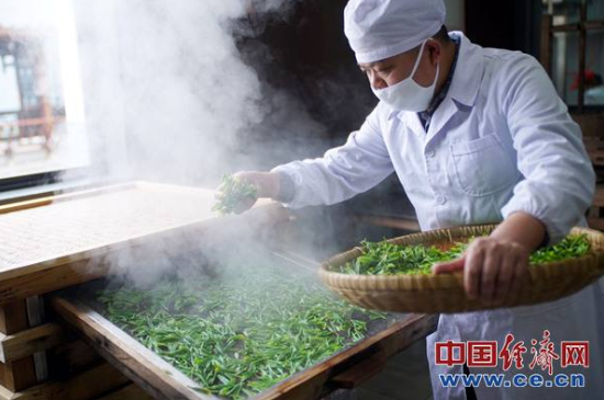 炒青綠茶與綠茶的區(qū)別，烘青和炒青哪個好喝？