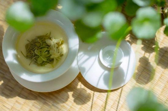 茉莉花茶6種人不要喝，什么體質(zhì)不適合喝茉莉花茶？