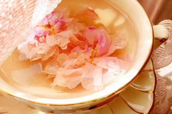 玫瑰花茶一周喝幾次，玫瑰花茶可以天天喝嗎？