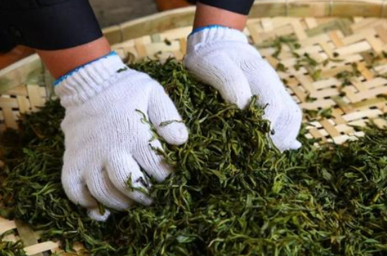 綠茶加工工藝流程圖，綠茶的加工制作包含哪幾個(gè)步驟？