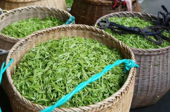 茶葉怎么炒制才香，怎樣炒茶葉更香？