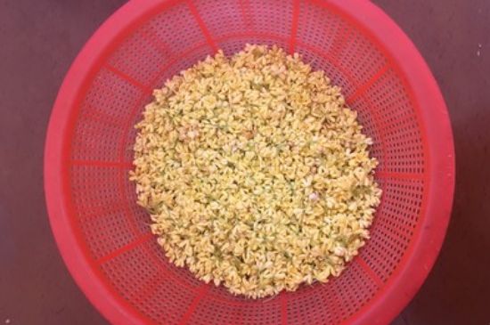 干桂花茶的制作方法，怎樣自制桂花茶？