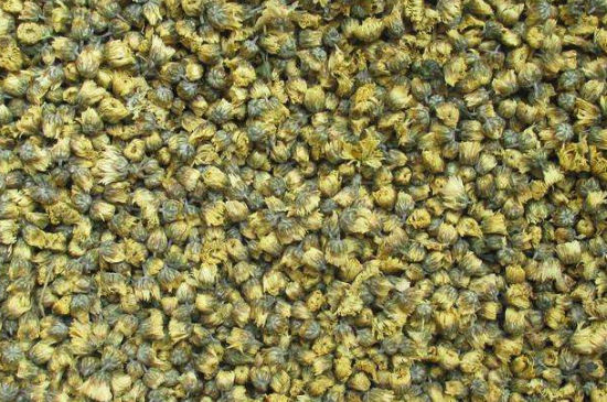 菊花茶大朵小朵有什么區(qū)別，菊花喝大朵還是小朵？