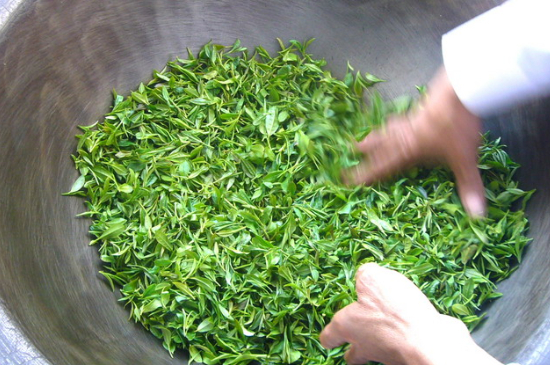 綠茶加工工藝流程圖，綠茶的加工制作包含哪幾個(gè)步驟？