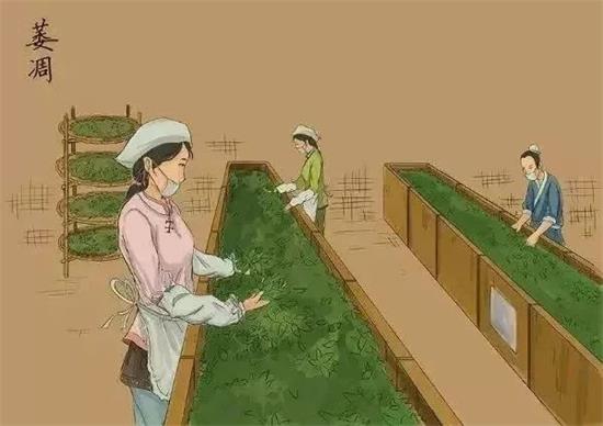 制茶八步驟，制茶工藝流程圖
