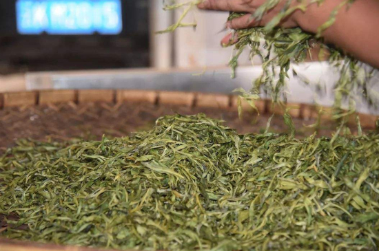 炒青綠茶與綠茶的區(qū)別，烘青和炒青哪個好喝？