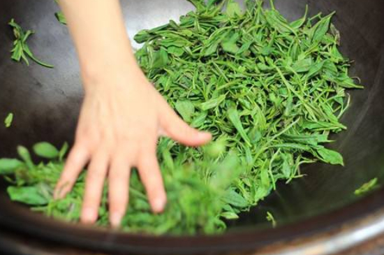炒青綠茶與綠茶的區(qū)別，烘青和炒青哪個好喝？