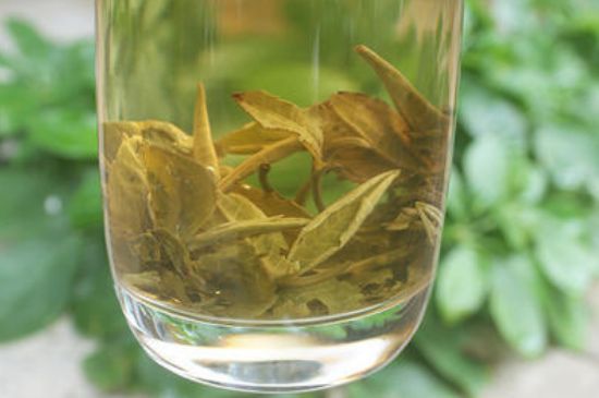茉莉龍珠泡開(kāi)后為什么都是梗，茉莉龍珠泡開(kāi)后什么樣？