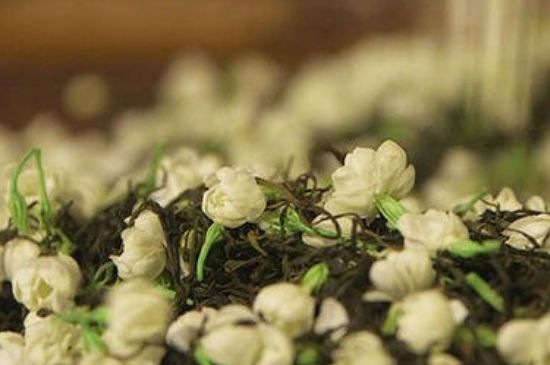 蒸茶器可以蒸花茶嗎，蒸茶器能用來蒸茉莉花茶嗎？
