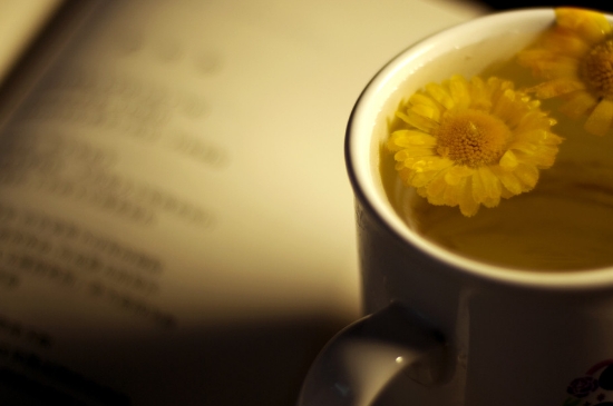 經(jīng)常菊花泡水好嗎，喝菊花茶有什么好處？