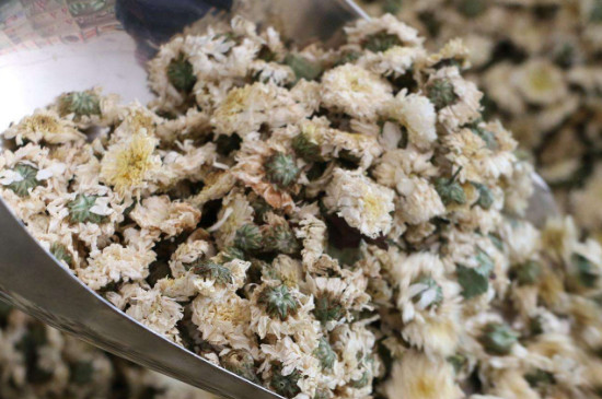 菊花茶買小朵還是大朵，泡茶用的小菊花和大菊花哪個(gè)好