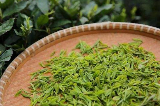炒青綠茶與綠茶的區(qū)別，烘青和炒青哪個好喝？
