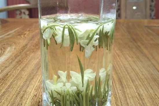 女孩喝茉莉茶的好處，茉莉茶葉的功效與禁忌
