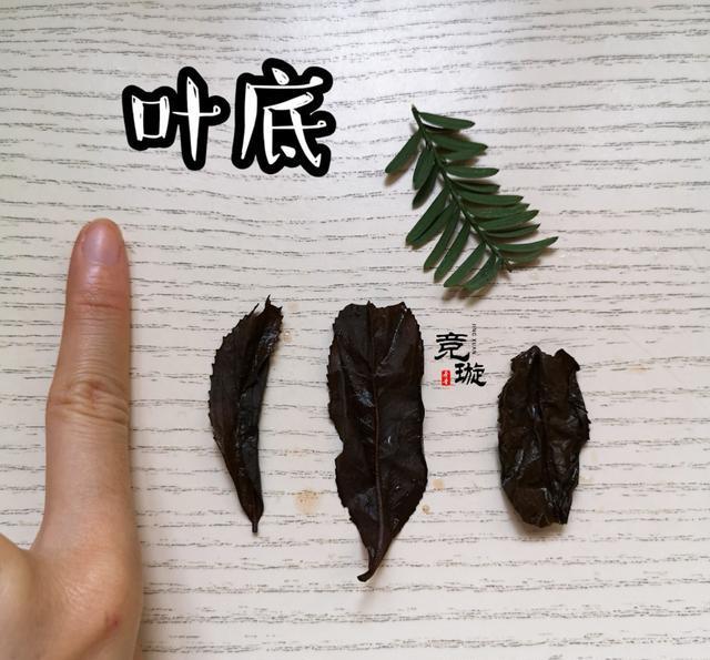 正山小種很細還很黑亮，正山小種越細越好嗎