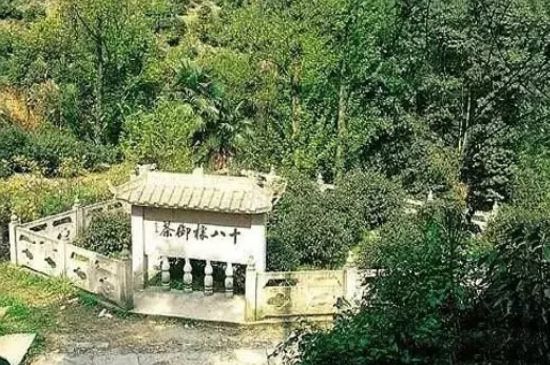 母樹大紅袍給誰喝了，為什么母樹大紅袍叫三棵六株？